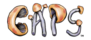 Caps_Logo_Clarity_Orange.png